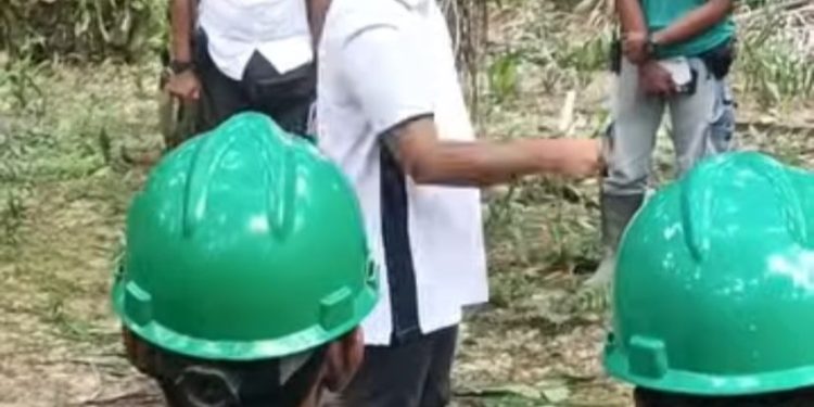 Dorong Kinerja Kebun, Region Head PTPN IV Regional 4 Jambi-Sumbar Kembali Kunjungi Kebun Bukit Kausar