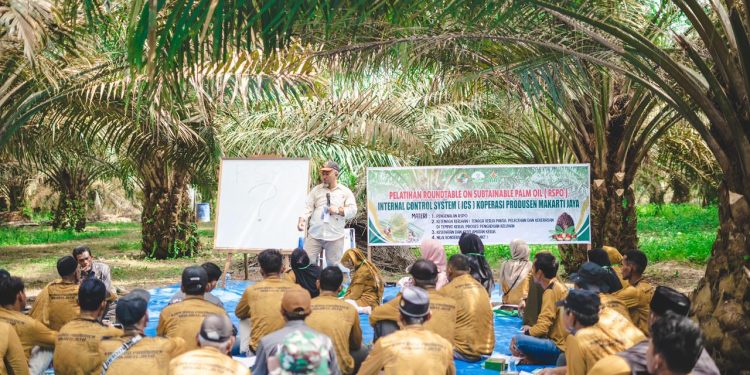 Ratusan Petani Mitra PTPN IV PalmCo Segera Kantongi Sertifikasi RSPO