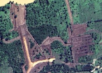 MAKATARA Ungkap Telah Terjadi Perubahan Tutupan Dari Hamparan Hijau Menjadi Lahan Terbuka Atas Aktivitas TUKS PT.SAS