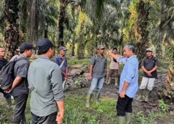 Tekankan Perbaikan Infrastruktur, Region Head PTPN IV Regional 4 Kunjungi Kebun Bukit Cermin