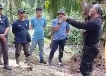 Kunjungan Region Head PTPN IV Regional 4 ke Kebun Ophir, ‘Mutu Terjaga, Target Tercapai’