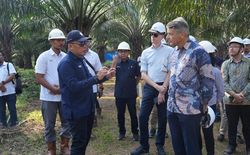 Ini Penjelasan PTPN IV Soal Tuntutan Soal HGU Cot Girek